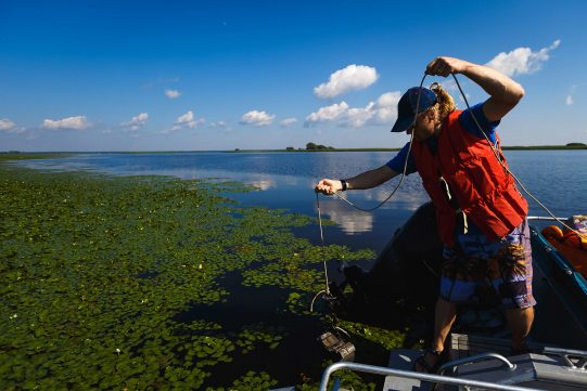 Saving the Dnipro river from algal blooms