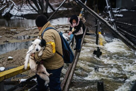 Cómo los ucranianos salvan animales durante la guerra
