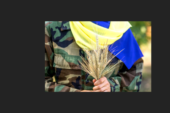 The war in Ukraine threatens to cause a global food crisis