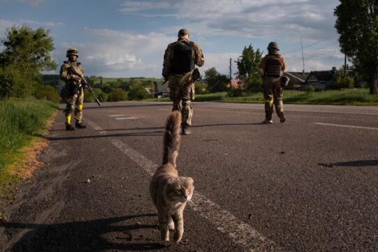 06/06 – 11/06. How Ukraine is resisting Russian occupation. Photo digest №18